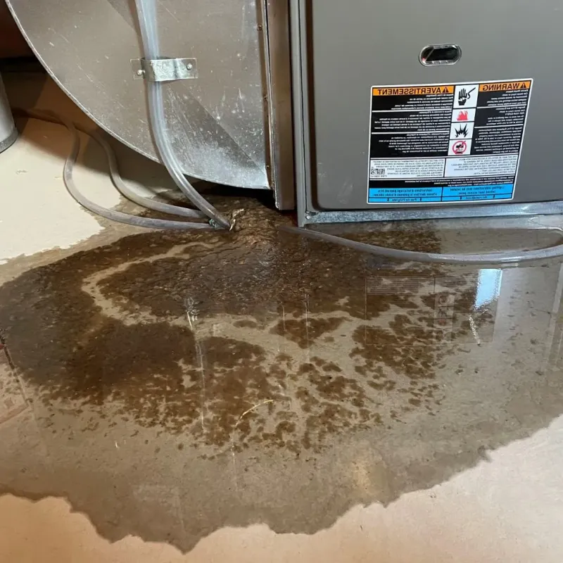 Pipe Burst and Leak Restoration in Worcester County, MA