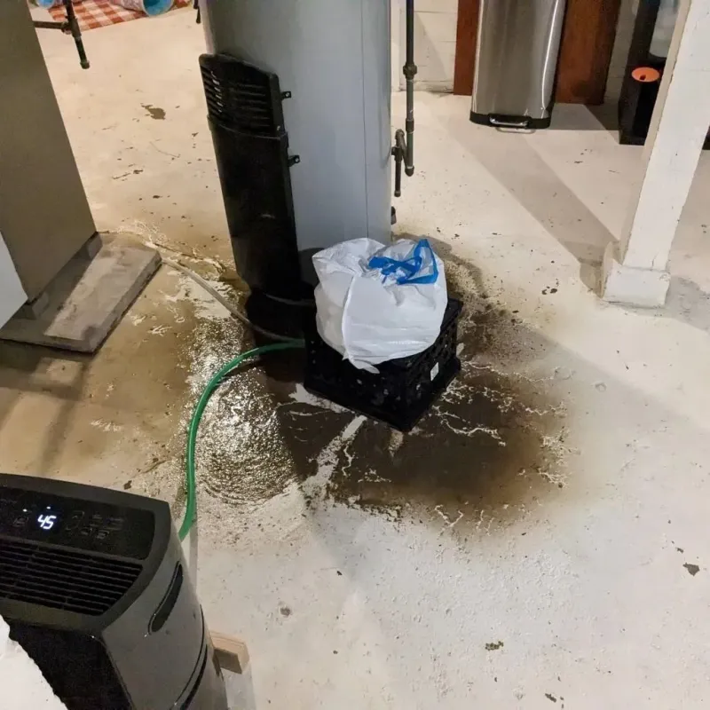 Sewage Backup Cleanup Service in Worcester County, MA